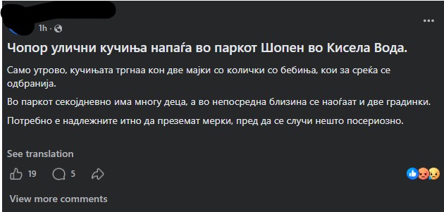 Улични кучиња сеат страв во Кисела Вода – Чопор се пуштал по минувачи, во близина школо и градинки
