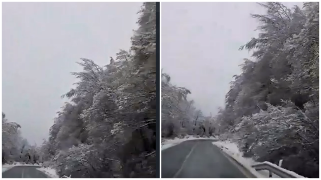 ФОТО: Снег на Стража